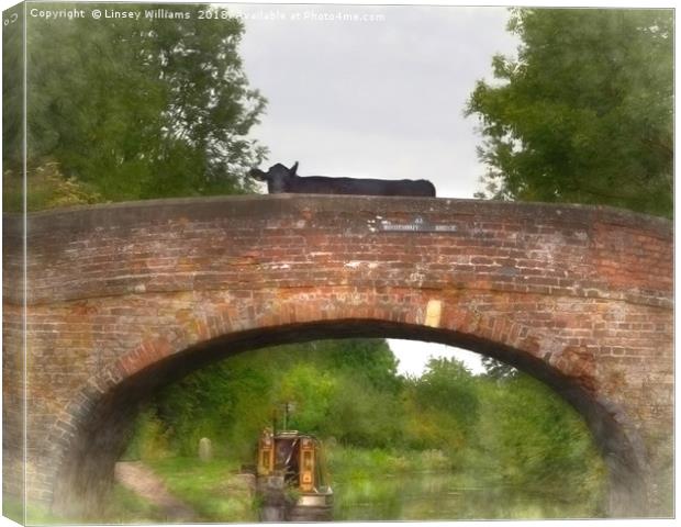 Cow on a Bridge over the Grand Union Canal Canvas Print by Linsey Williams