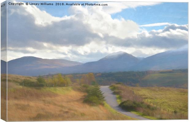 Road Through the Highlands Canvas Print by Linsey Williams