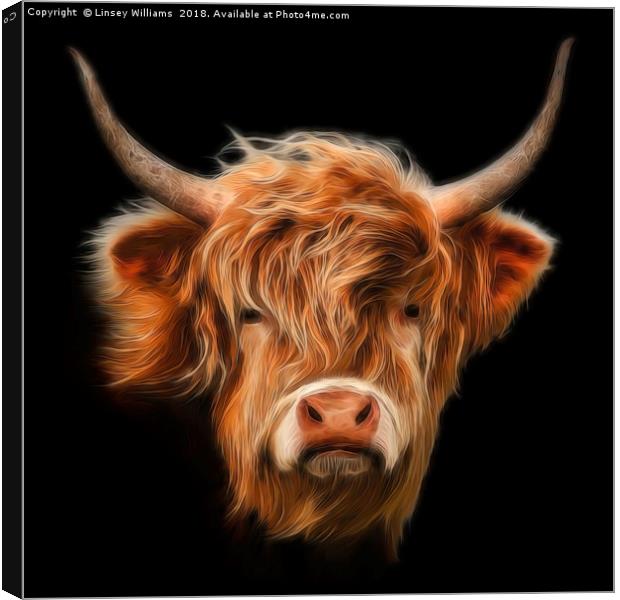Highland Cow. Canvas Print by Linsey Williams