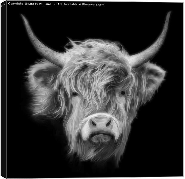 Highland Cow in Black and White Canvas Print by Linsey Williams