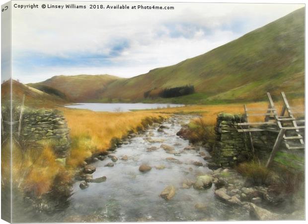 Hawesater, Cumbria Canvas Print by Linsey Williams