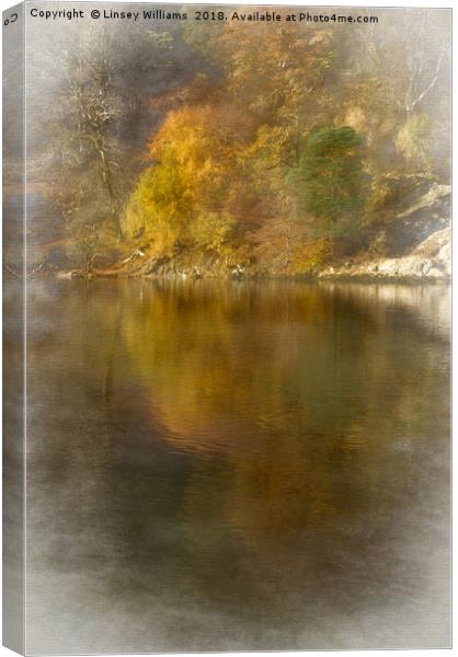 Autumn Reflections Canvas Print by Linsey Williams