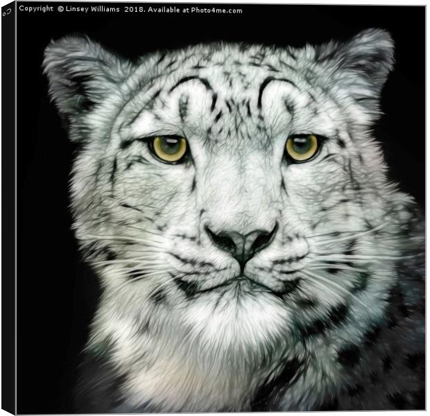 Snow Leopard Canvas Print by Linsey Williams