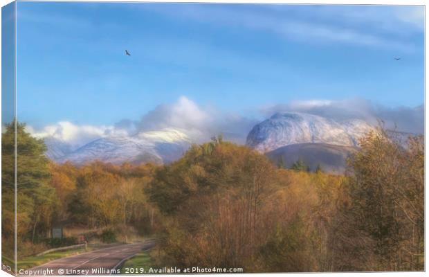 A Road to Ben Nevis Canvas Print by Linsey Williams