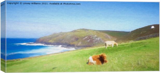 Cows at Cape Cornwall Canvas Print by Linsey Williams