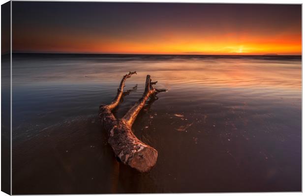 Driftwood ... Canvas Print by J.Tom L.Photography