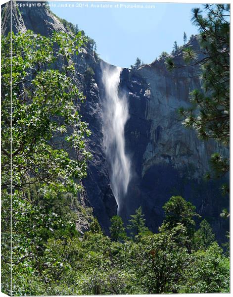  Waterfall at Yosemite Park Canvas Print by Paula Jardine