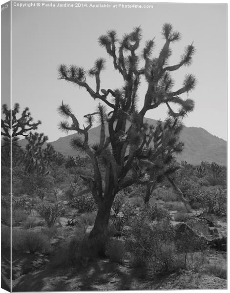  Joshua Tree Canvas Print by Paula Jardine