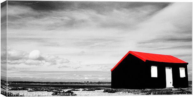Home By The Sea Canvas Print by Jay Ticehurst