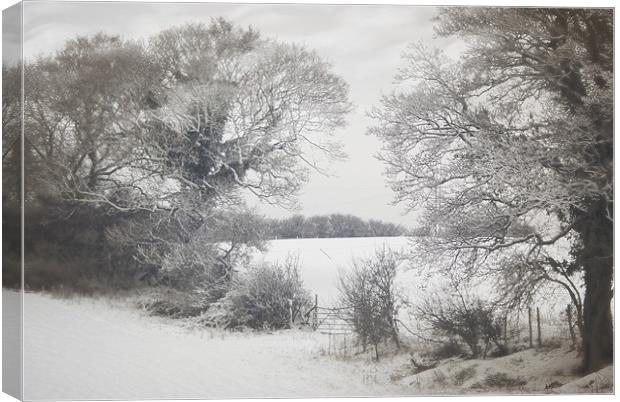Snowy days Canvas Print by Jay Ticehurst