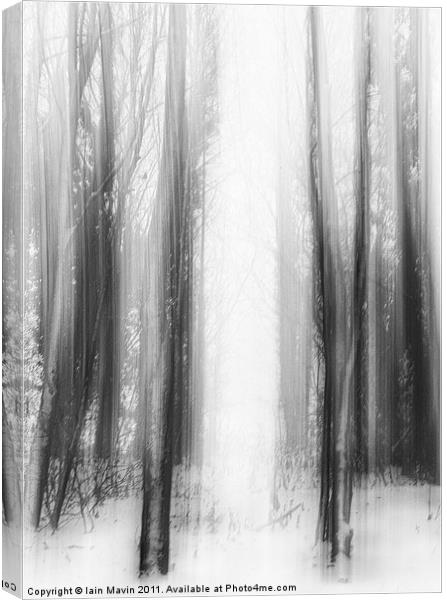 Snow Trees Canvas Print by Iain Mavin