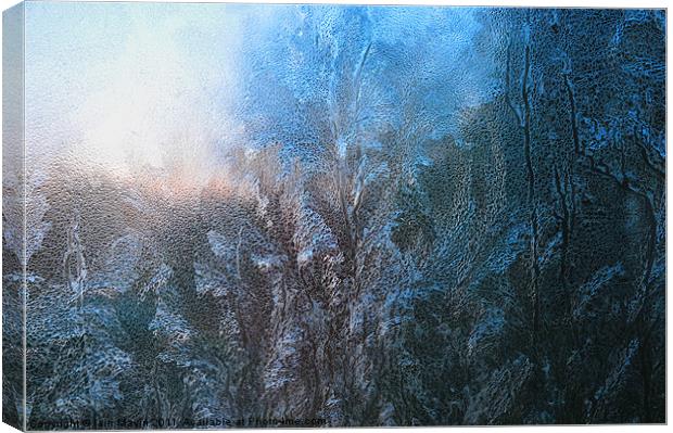 Winter Ice Canvas Print by Iain Mavin