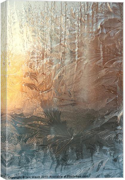 Frosted Art Canvas Print by Iain Mavin