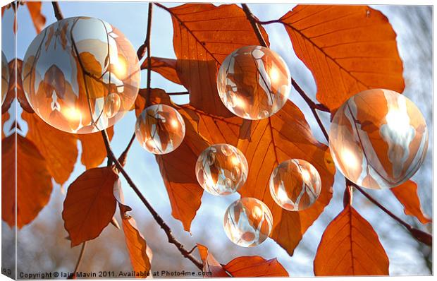 Autumn Bubbles Canvas Print by Iain Mavin