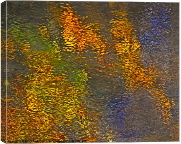 Water Colours Canvas Print by Iain Mavin