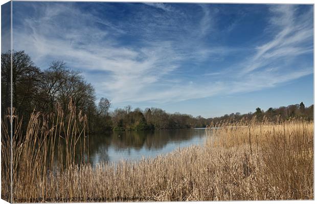 The Lake Canvas Print by Iain Mavin