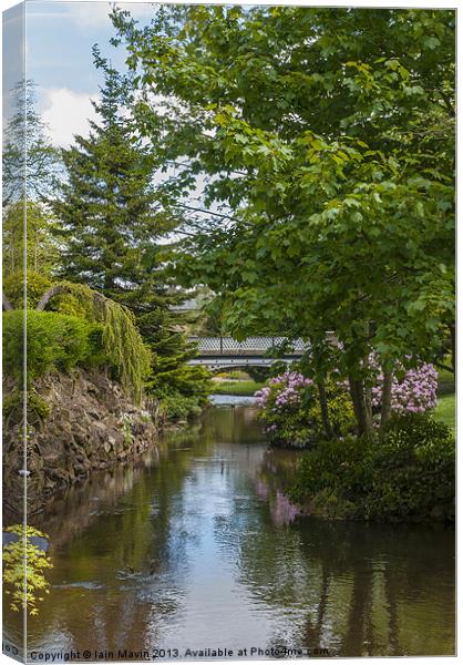 Peaceful Stream Canvas Print by Iain Mavin