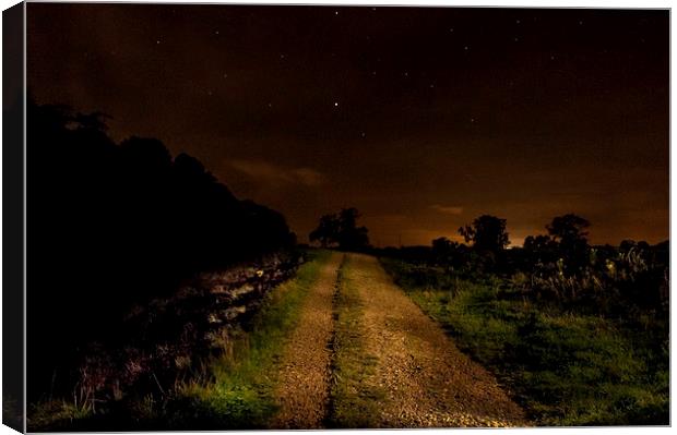 Pathway to the Stars Canvas Print by Iain Mavin