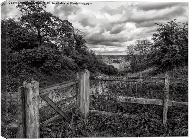  View from a Fence Canvas Print by Iain Mavin