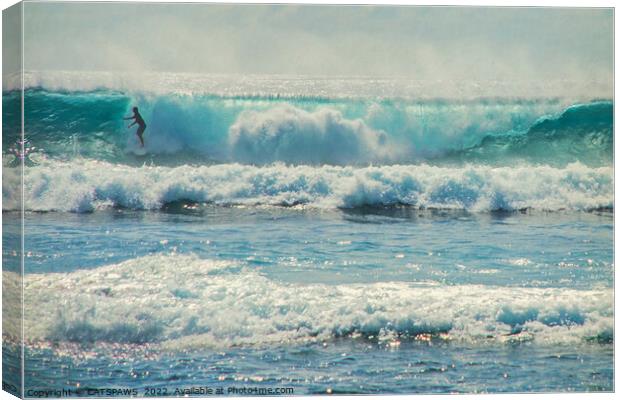 SURF-ACING Canvas Print by CATSPAWS 