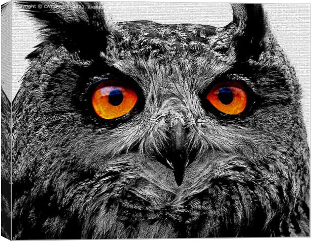 OWL - YOU'RE THE ORANGE OF MY EYES Canvas Print by CATSPAWS 
