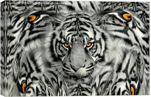TIGER PAW-TRAIT Canvas Print by CATSPAWS 