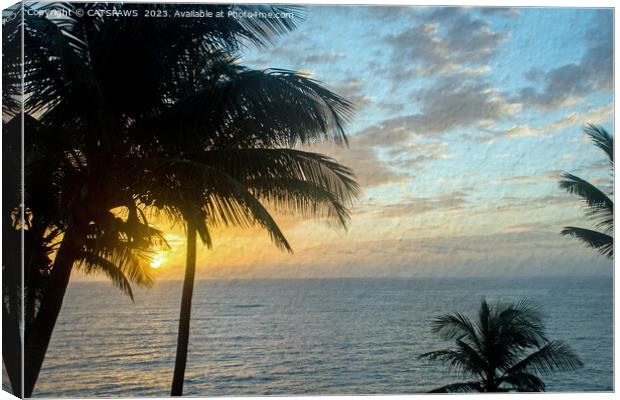 TROPICAL SUNRISE Canvas Print by CATSPAWS 