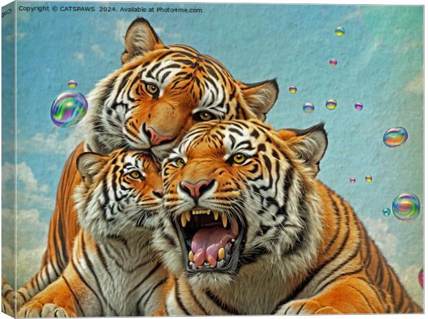 TREBLE TIGER TROUBLE Canvas Print by CATSPAWS 