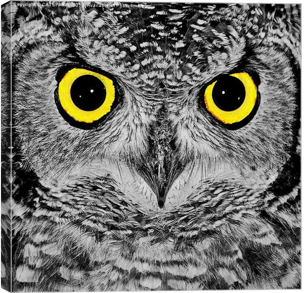 OWL PORTRAIT Canvas Print by CATSPAWS 