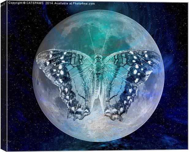 MOON BUTTERFLY Canvas Print by CATSPAWS 