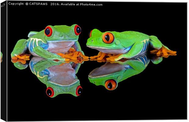 DOUBLE MIRROR FROGGINESS Canvas Print by CATSPAWS 