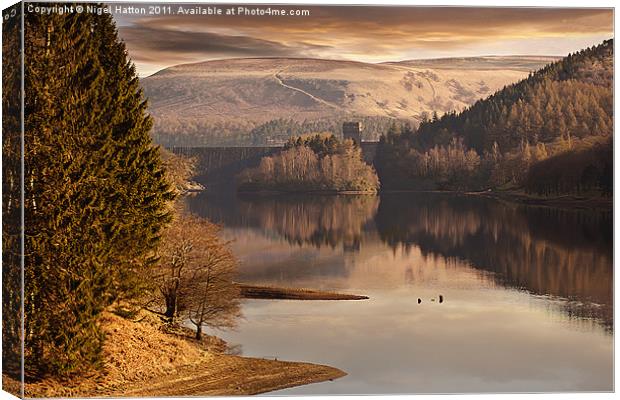 Reflections Canvas Print by Nigel Hatton