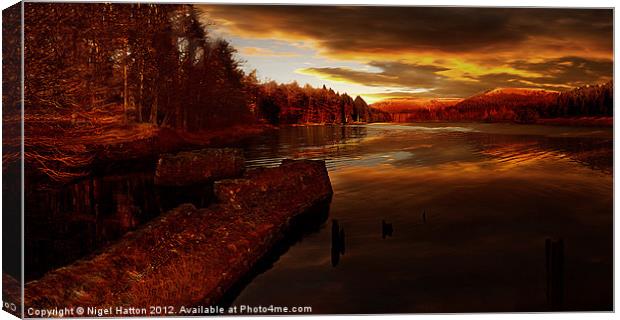 The Last Trains Canvas Print by Nigel Hatton