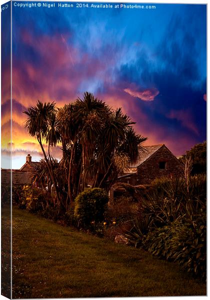 Palm Trees #2 Canvas Print by Nigel Hatton