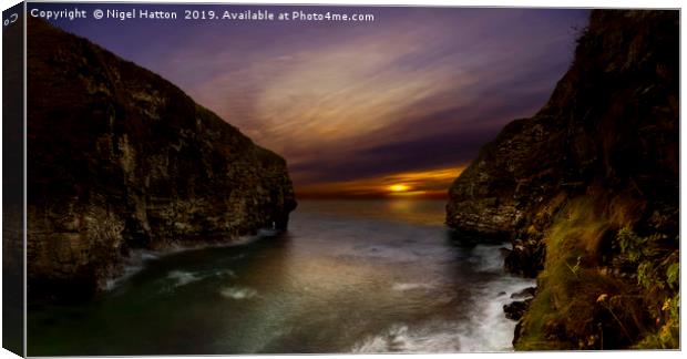 Bossiney Cove Canvas Print by Nigel Hatton