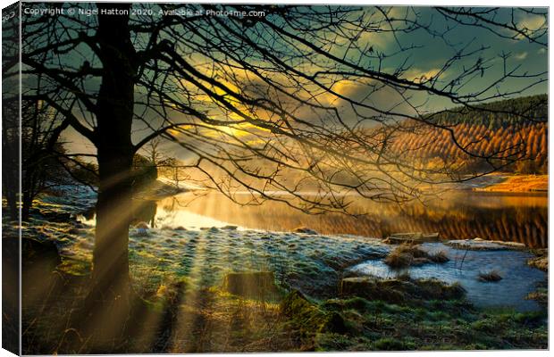 Cold Morning Canvas Print by Nigel Hatton
