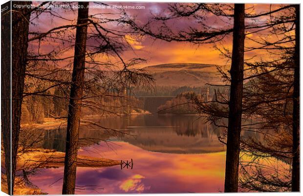 Howden Through The Trees Canvas Print by Nigel Hatton