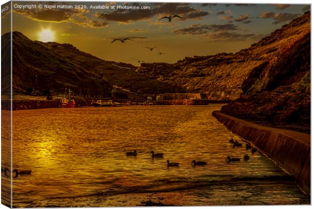 The Harbour  Canvas Print by Nigel Hatton