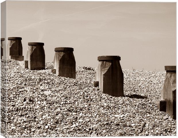 Beach Groynes Canvas Print by Sharon Lisa Clarke