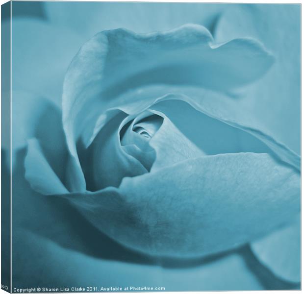 Pale blue rose Canvas Print by Sharon Lisa Clarke