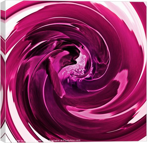 Raspberry swirl Canvas Print by Sharon Lisa Clarke