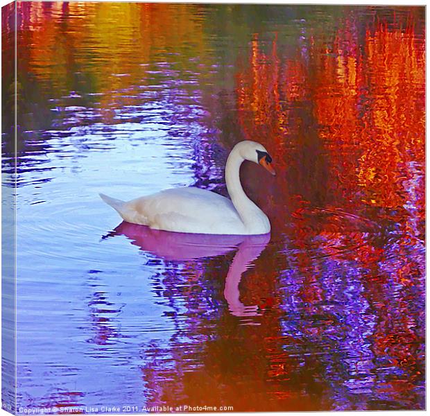 Swan song Canvas Print by Sharon Lisa Clarke