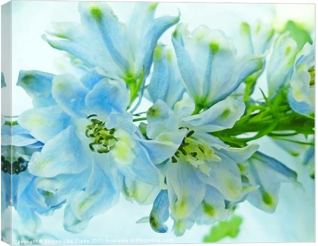 Delphiniums Canvas Print by Sharon Lisa Clarke