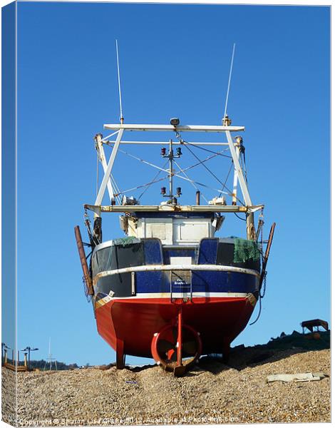 Beached Canvas Print by Sharon Lisa Clarke