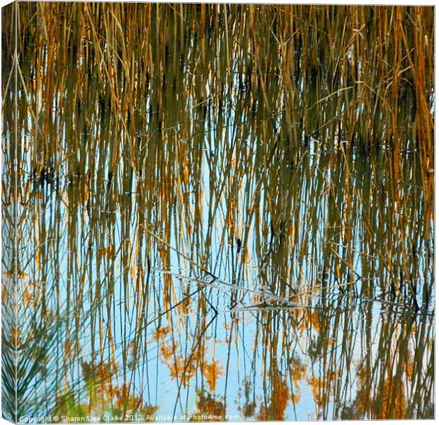 Reeds Canvas Print by Sharon Lisa Clarke