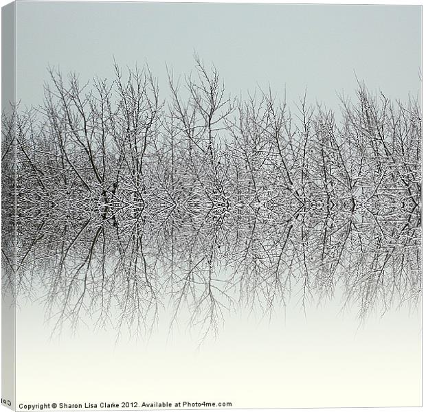 Winter tree tops Canvas Print by Sharon Lisa Clarke