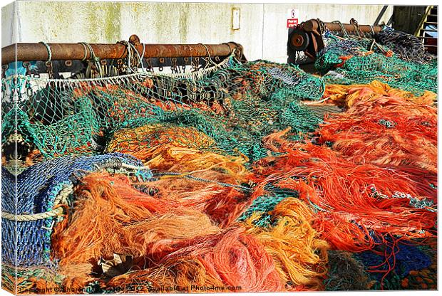 Fishing nets Canvas Print by Sharon Lisa Clarke