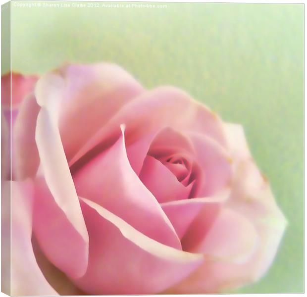 Painted rose Canvas Print by Sharon Lisa Clarke