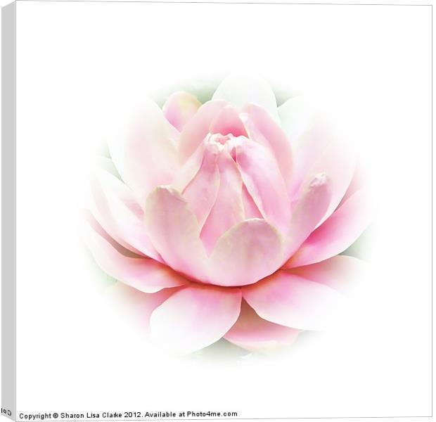Waterlily pink Canvas Print by Sharon Lisa Clarke