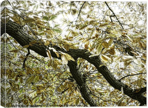The Branch Canvas Print by Sharon Lisa Clarke